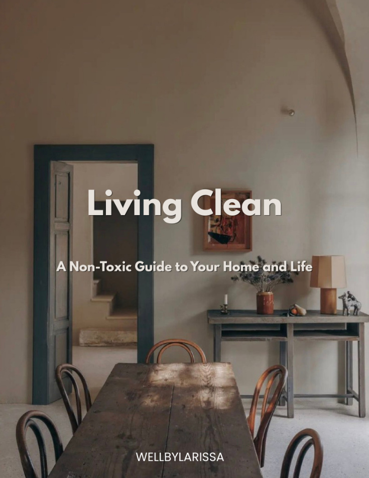 Living Clean cover